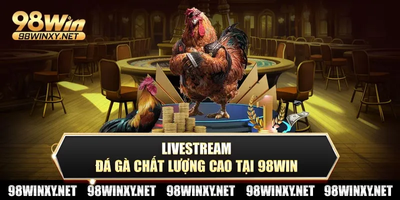 Livestream đá gà chất lượng cao tại 98win